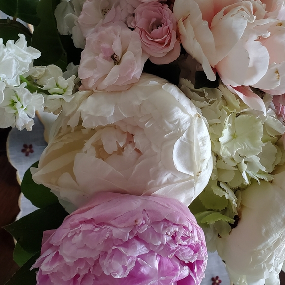 Meet your Posher, Uniq Butiq - Picture 2 of 3